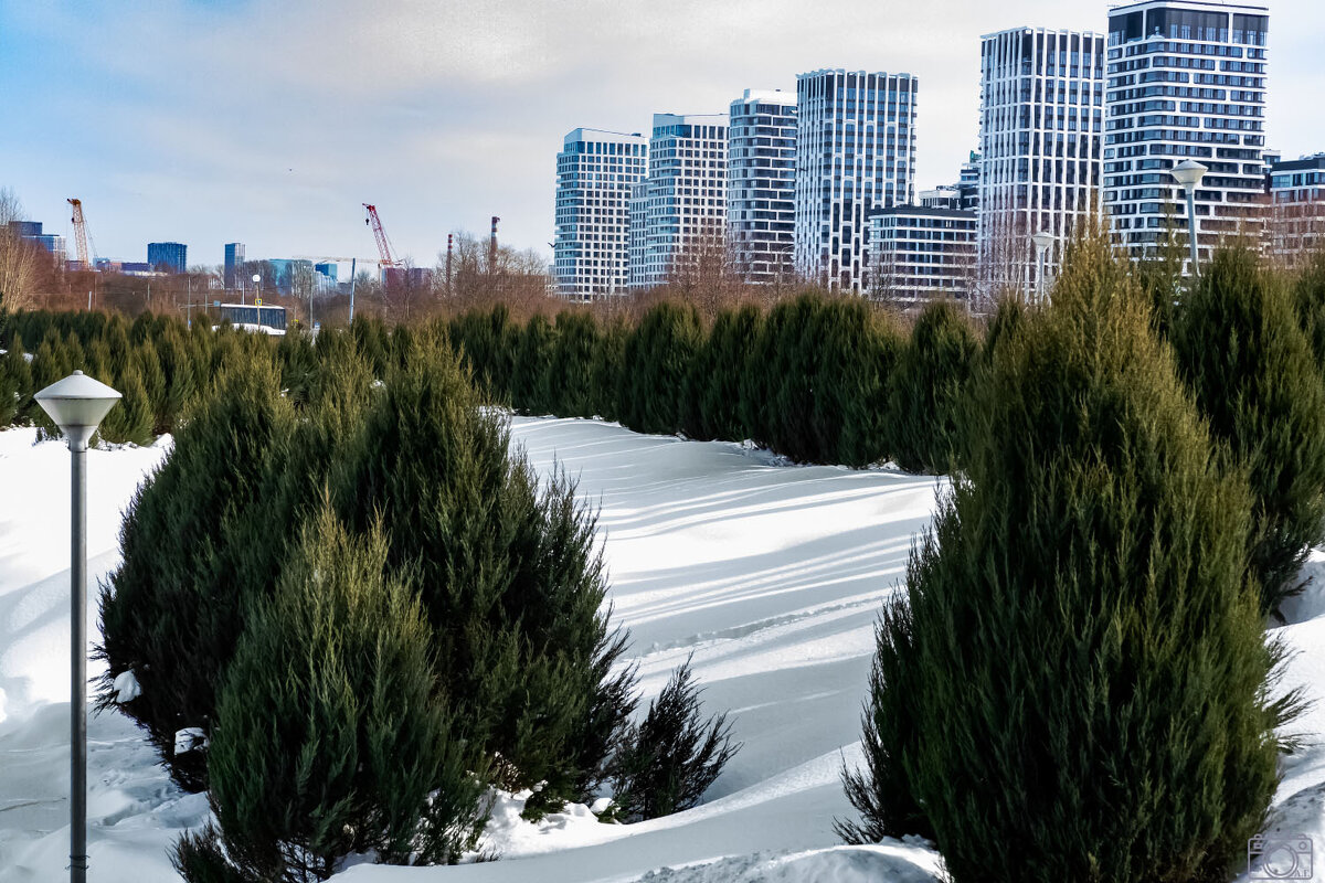 Застроили Мневники. - Александр 