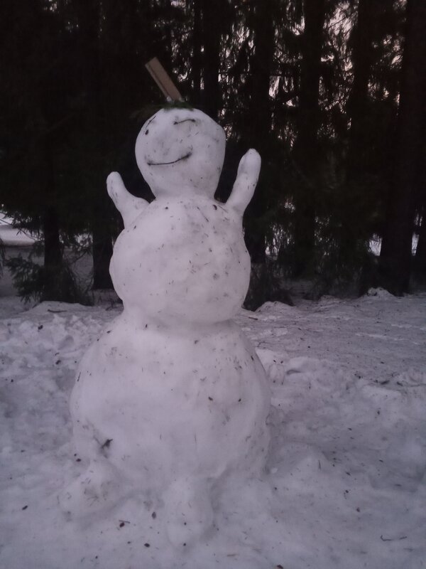 Снеговик - Сапсан 