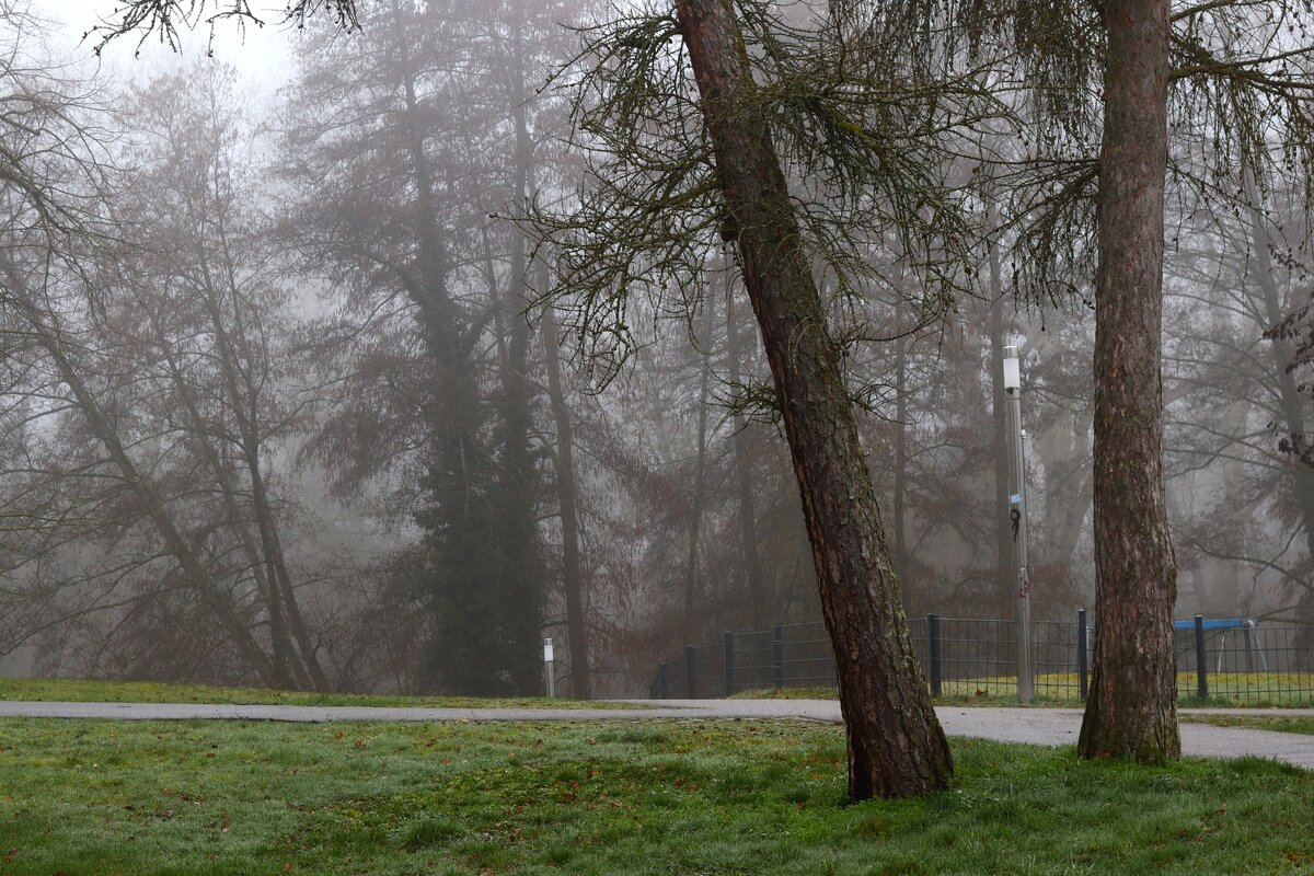 Утро - Юрий. Шмаков