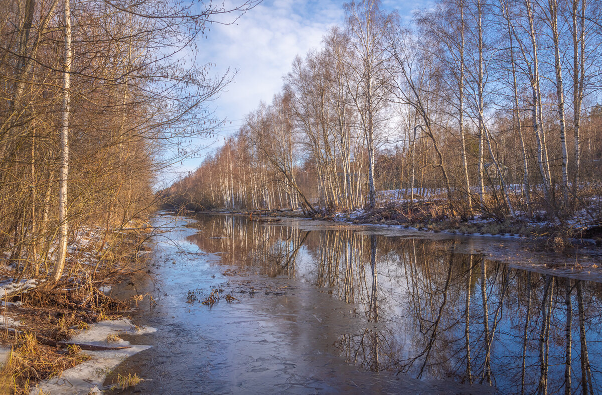 **** - Елизавета .