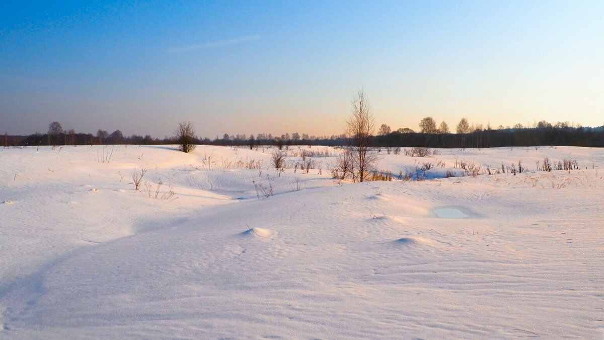 Весеннее утро. - Милешкин Владимир Алексеевич 