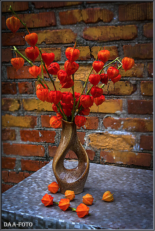 ФИЗАЛИС, - Александр Дмитриев ФИЗАЛИС, - Александр Дмитриев