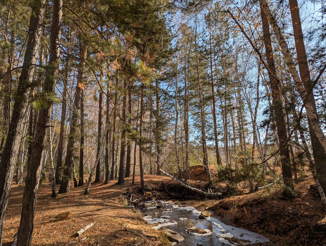 Течёт осень... - Андрей Хлопонин Течёт осень... - Андрей Хлопонин