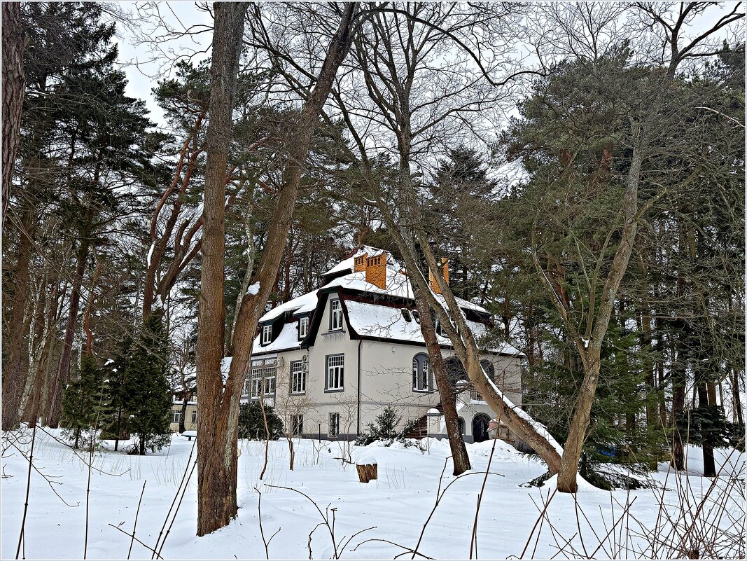 Домики Светлогорска. - Валерия Комова