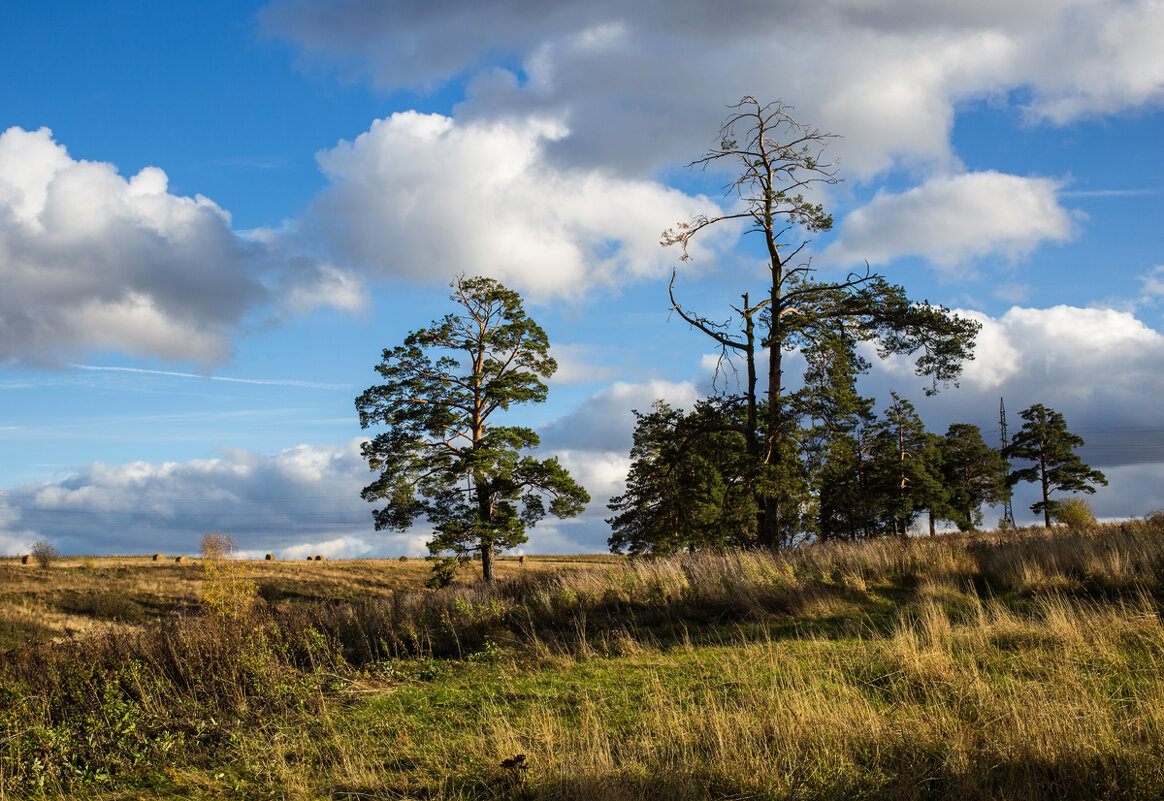 На окраине села - Владимир Гришин На окраине села - Владимир Гришин
