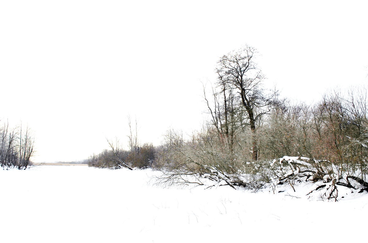 "Белое безмолвие" - AleksSPb Лесниченко