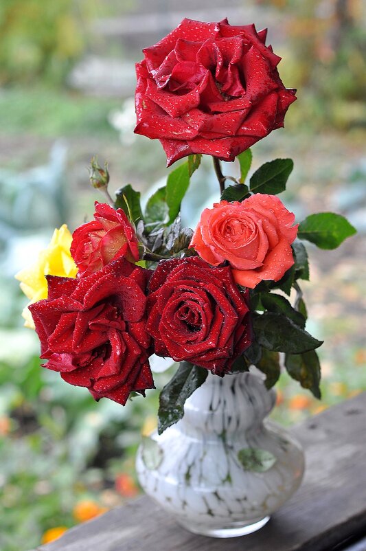 Розы - Владимир Зыбин Розы - Владимир Зыбин