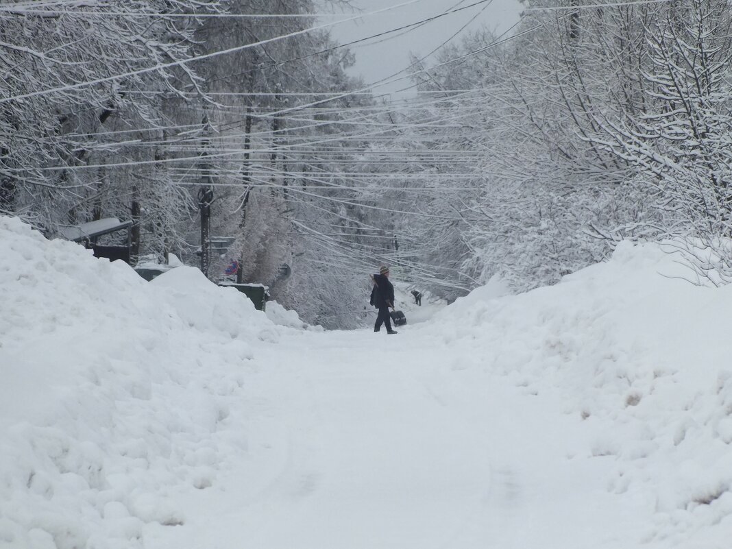 ** - Зоя Мишина