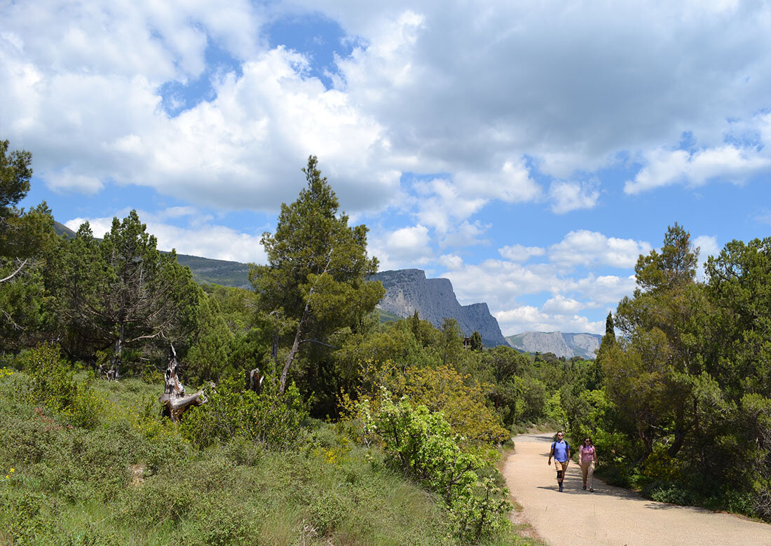 В Фороским парке - Ольга 