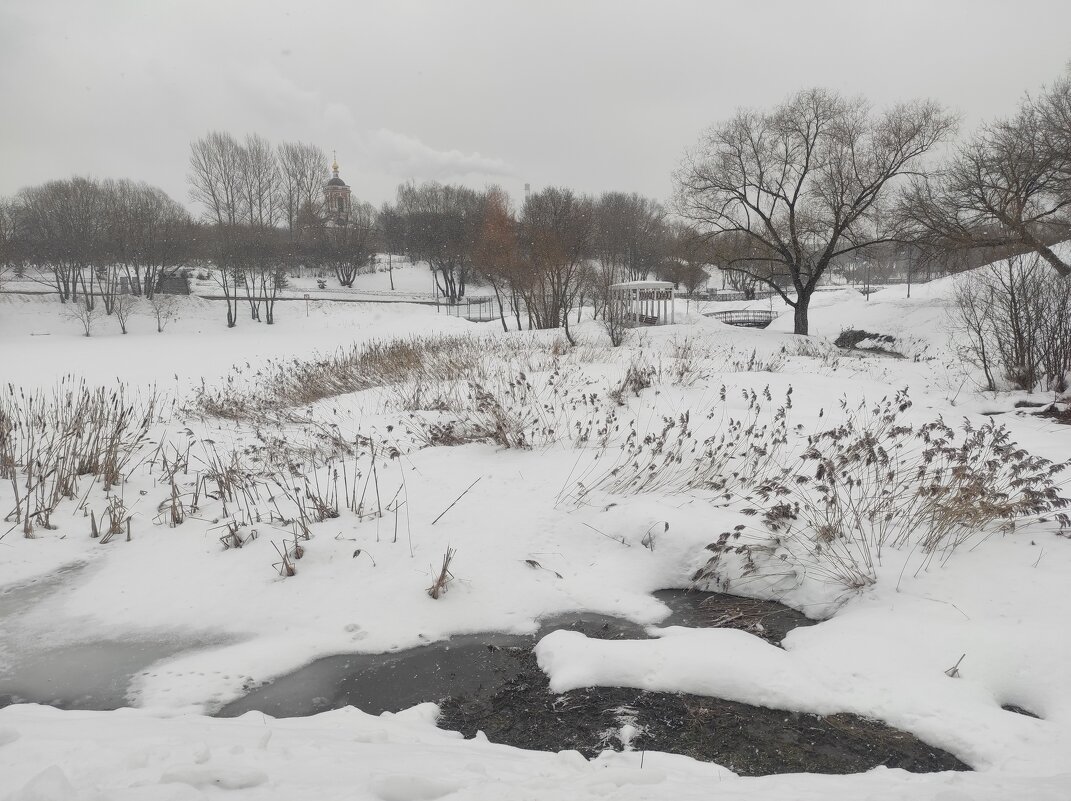 Весна, начало марта - Игорь Ч.