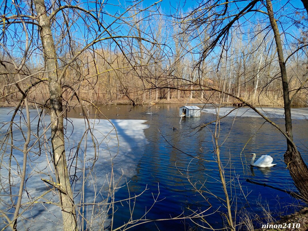 Март в ростовском зоопарке - Нина Бутко
