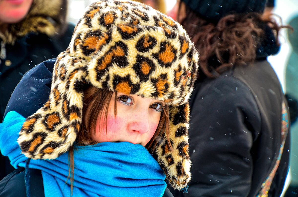 Морозный день. - Михаил Курзанцев