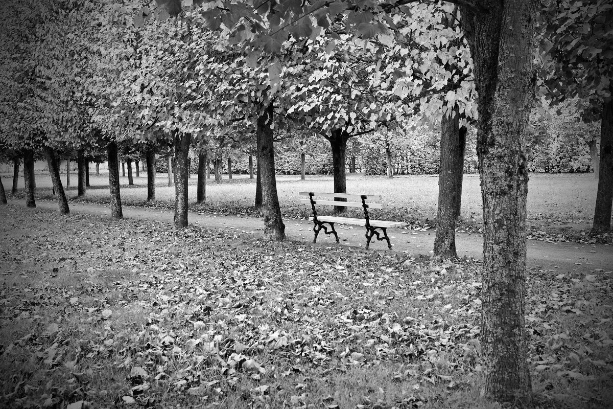 Архангельское - Николай 