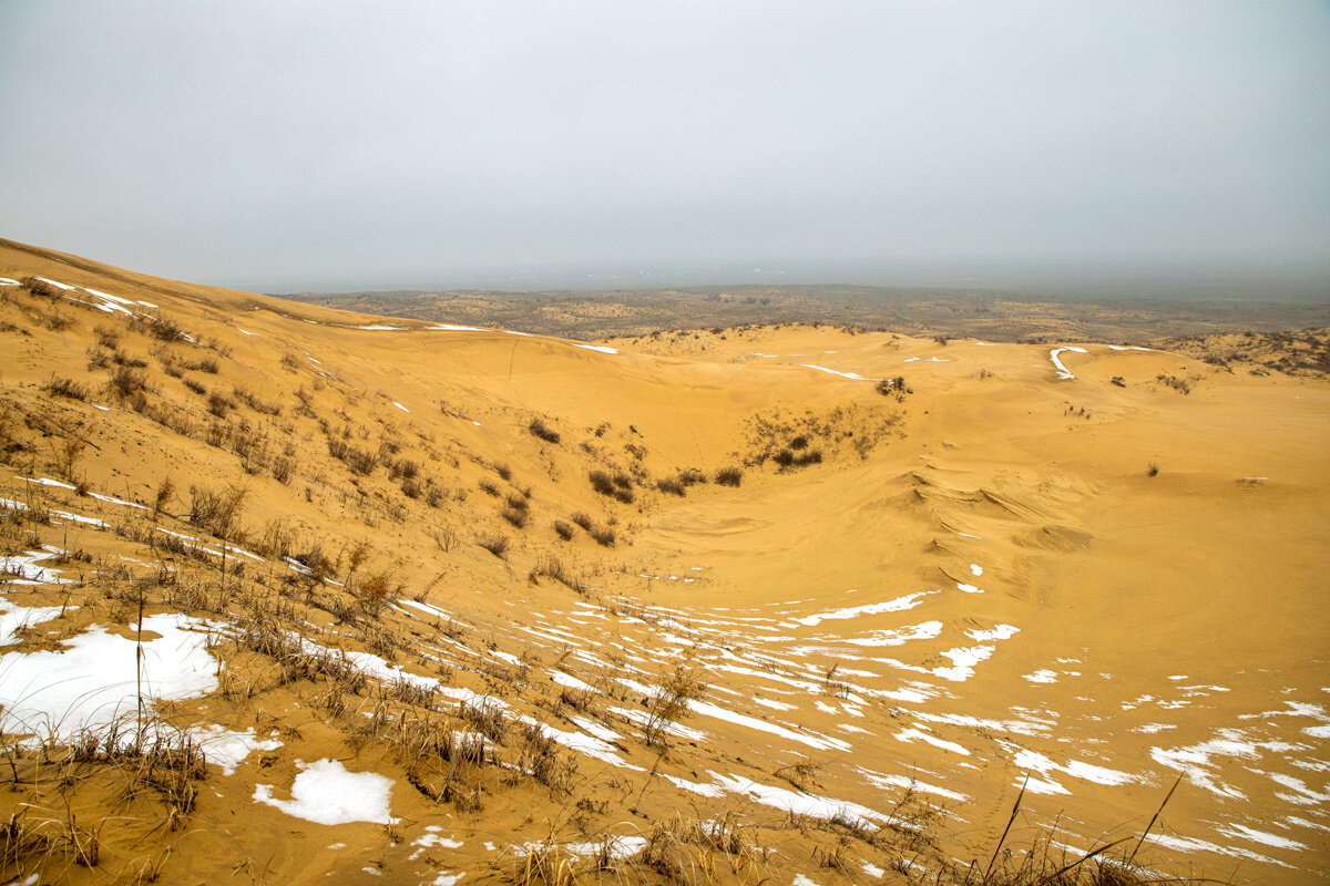 Пустыня Сарыкум зимой. Дагестан. - Дина Евсеева