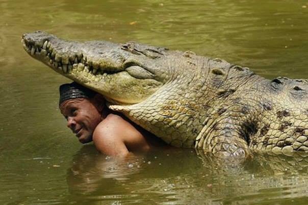 Давние приятели...:) - Валерий Кокорев