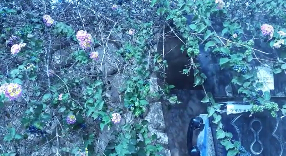 115 (157) - CLOSE WAYS ALL