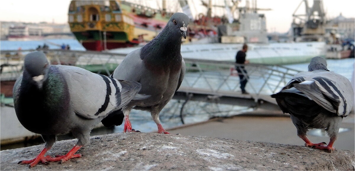 что бы ещё клюнуть? - sv.kaschuk 