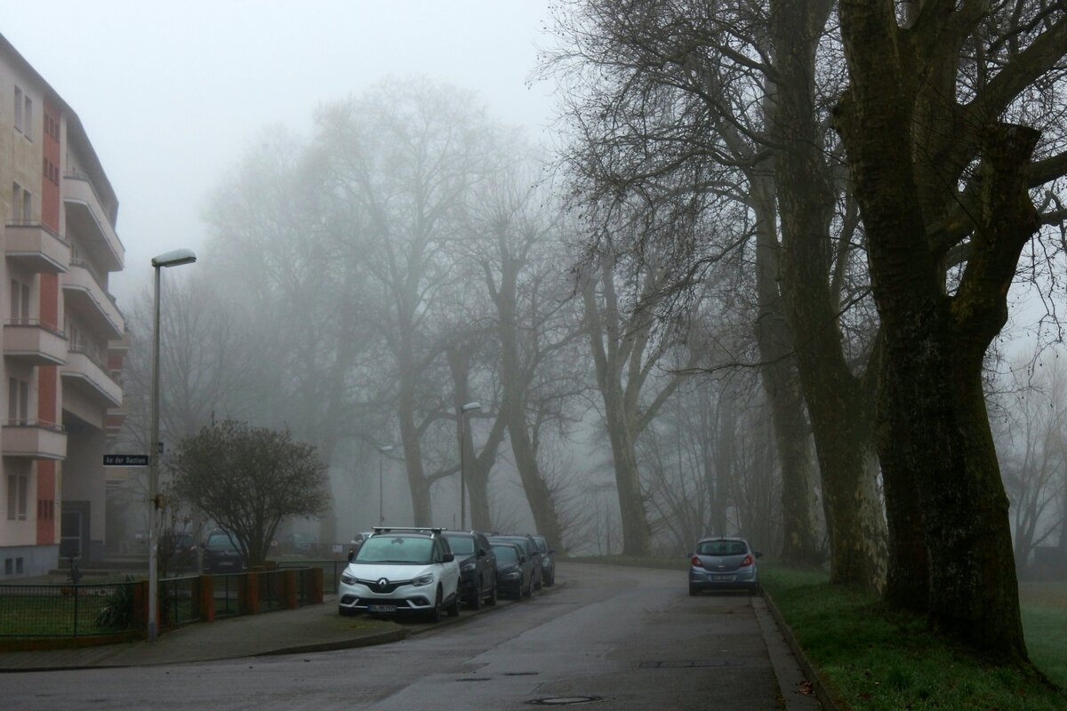 В городе туман - Юрий. Шмаков