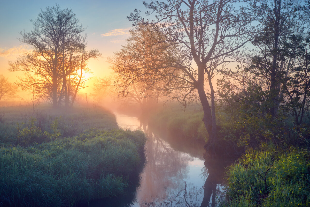 «Распевал им песни под метель о лете...»© - Roman Lunin