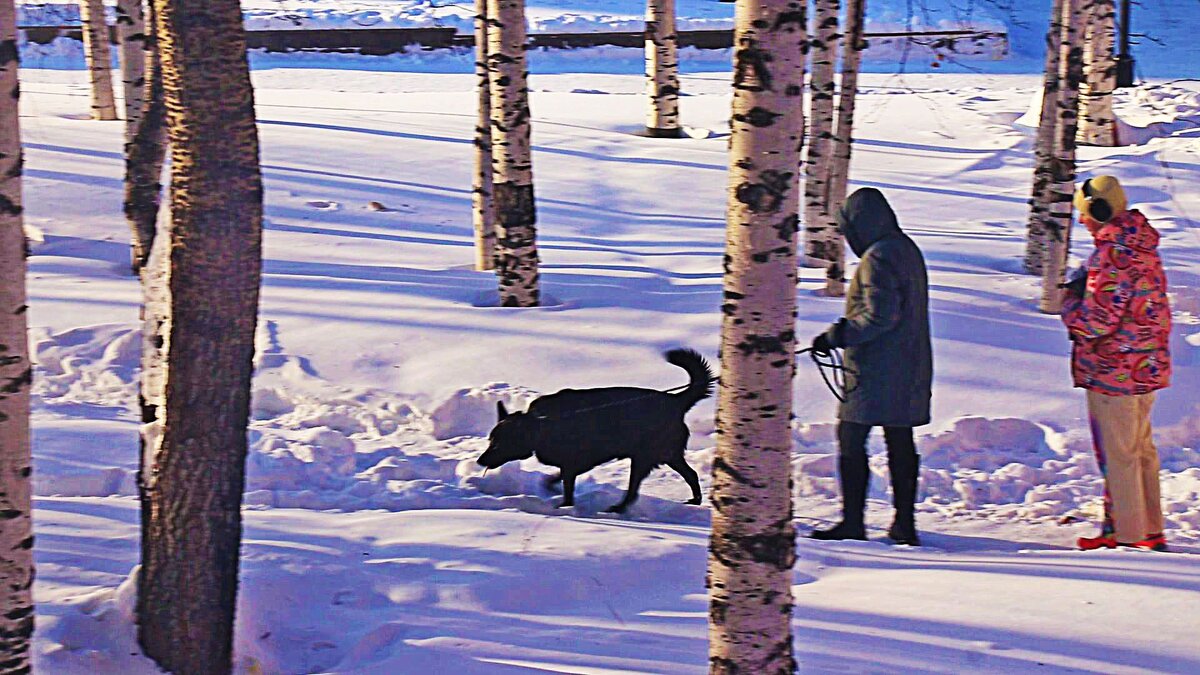 Март....На прогулке с любимым псом! - Владимир 