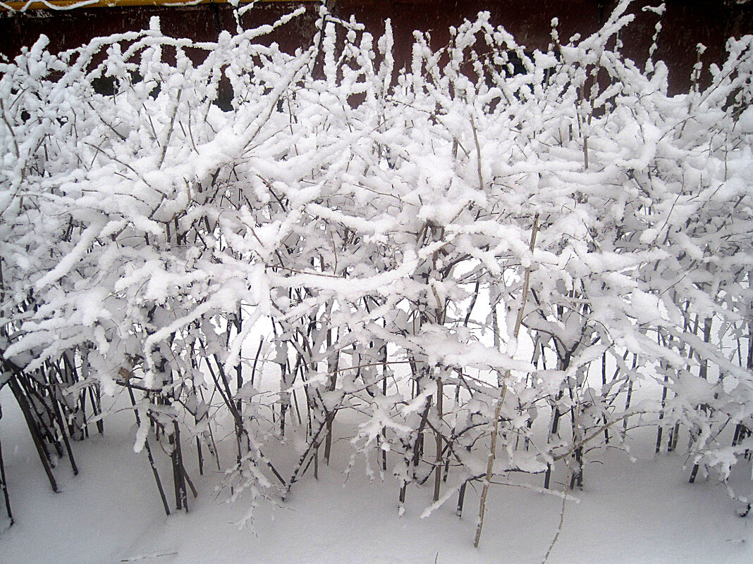 Вчера была зима - Елена Семигина