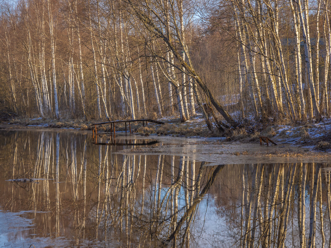 **** - Елизавета .