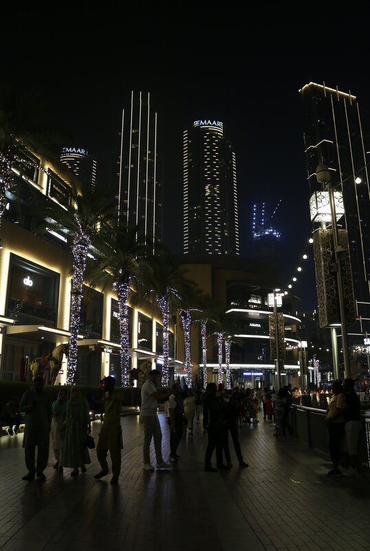 Вечер в Дубае - Ольга Вечер в Дубае - Ольга