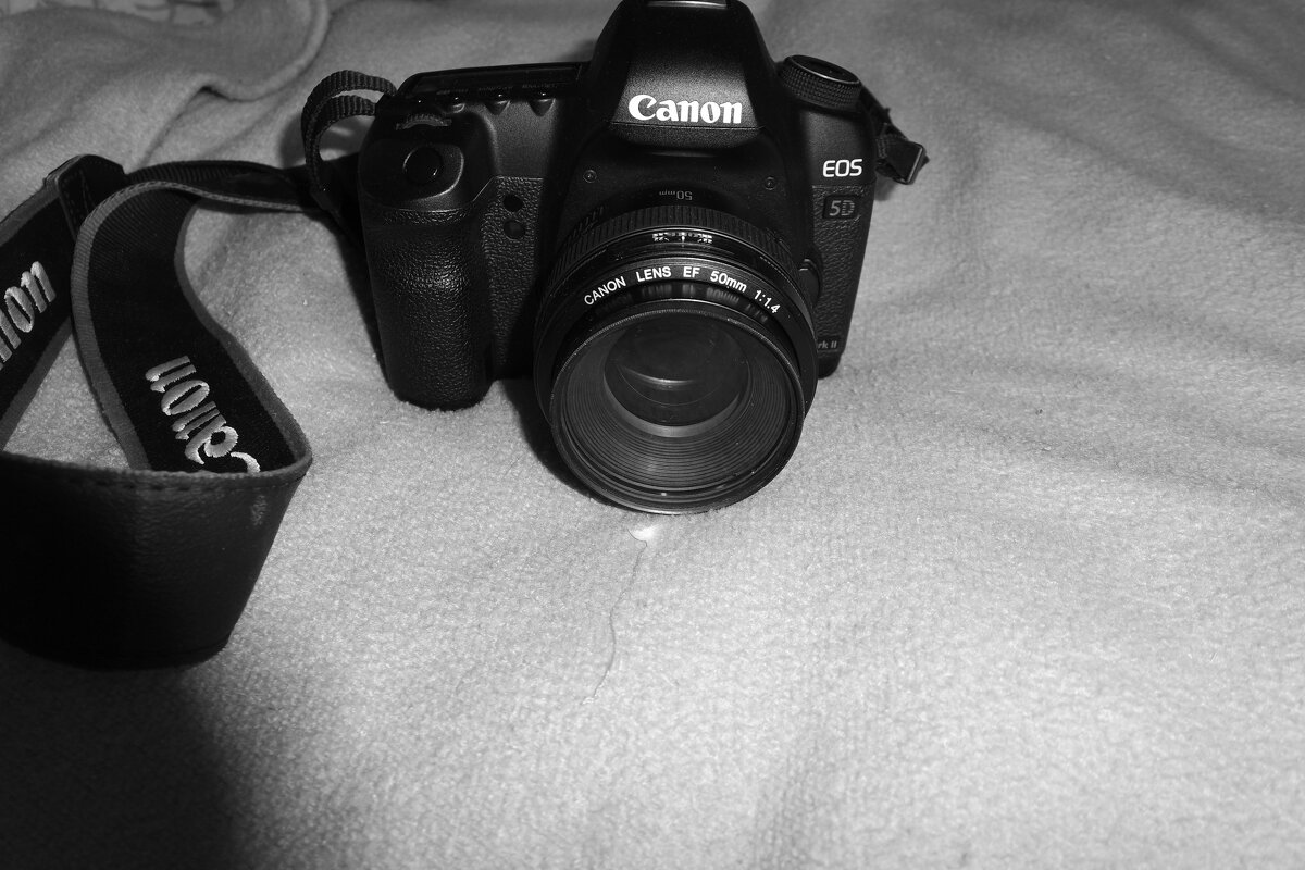 Мечты о ч/б Лейке 33. - Михаил Елочкин