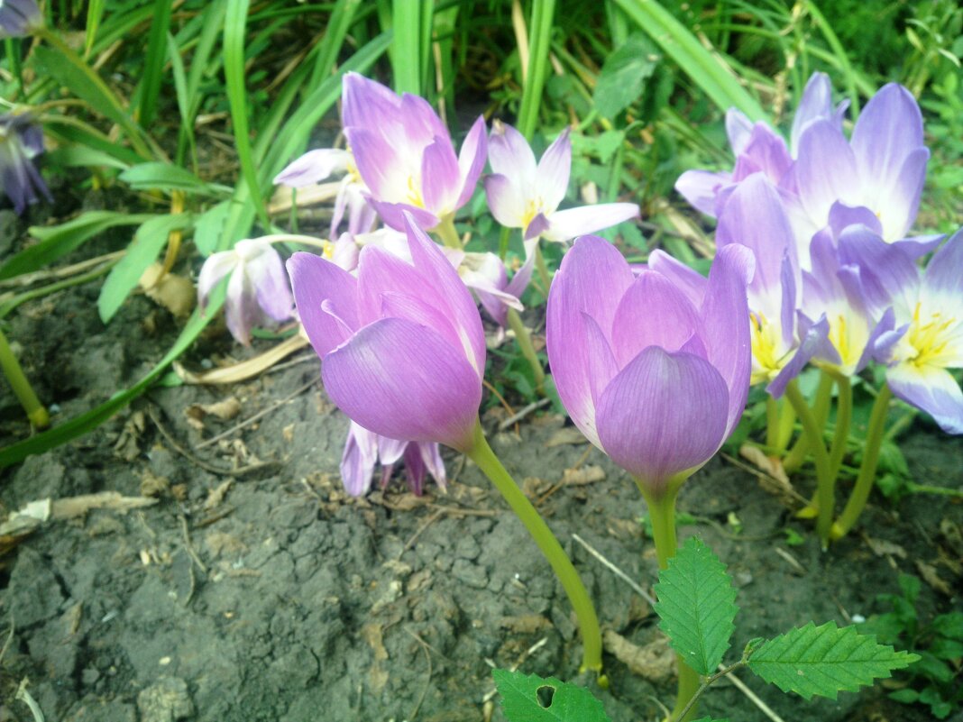 ,,, - Сергей Тимоновский