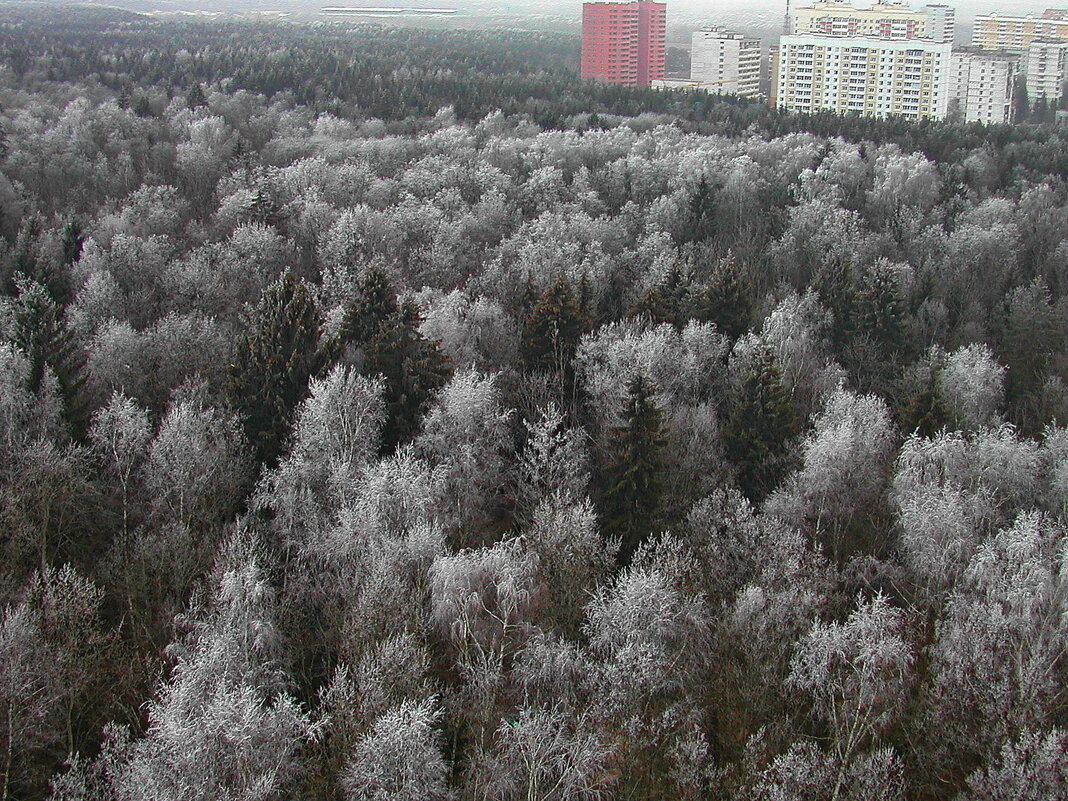 Троицк - Tata Wolf