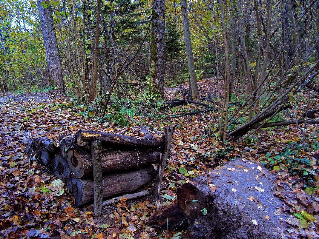 Прогулка - Tata Wolf