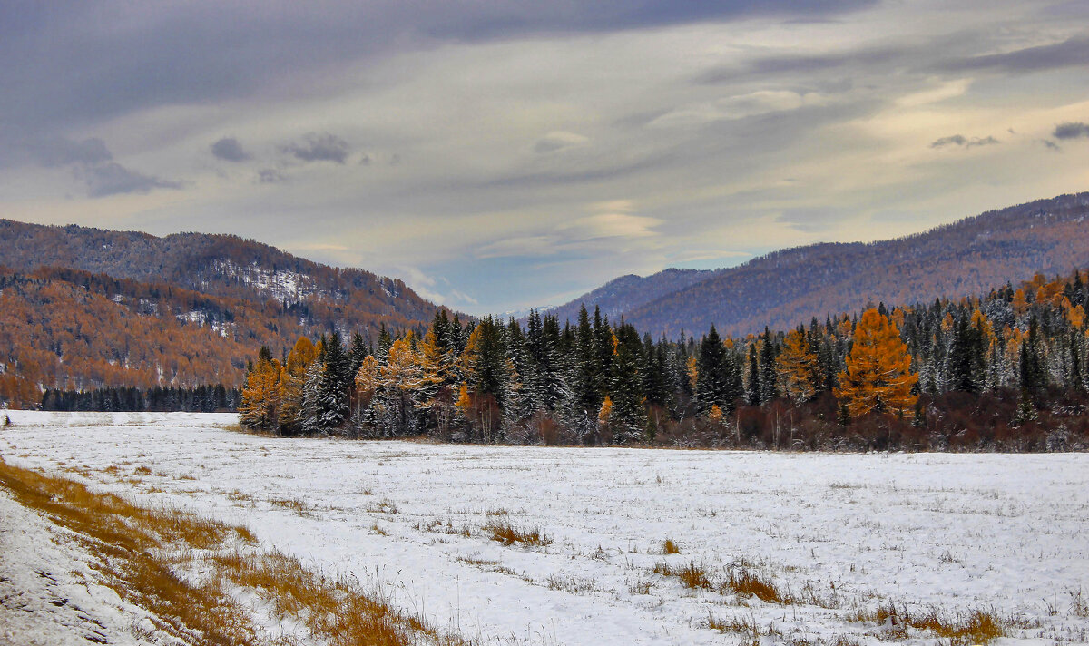 Предзимье в Горном Алтае - елена беликова