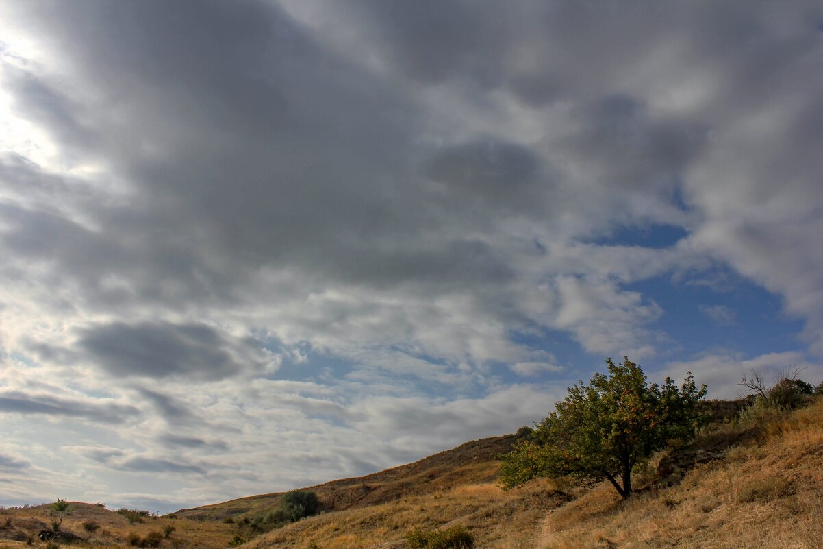 Мержаново - Оксана Новик 
