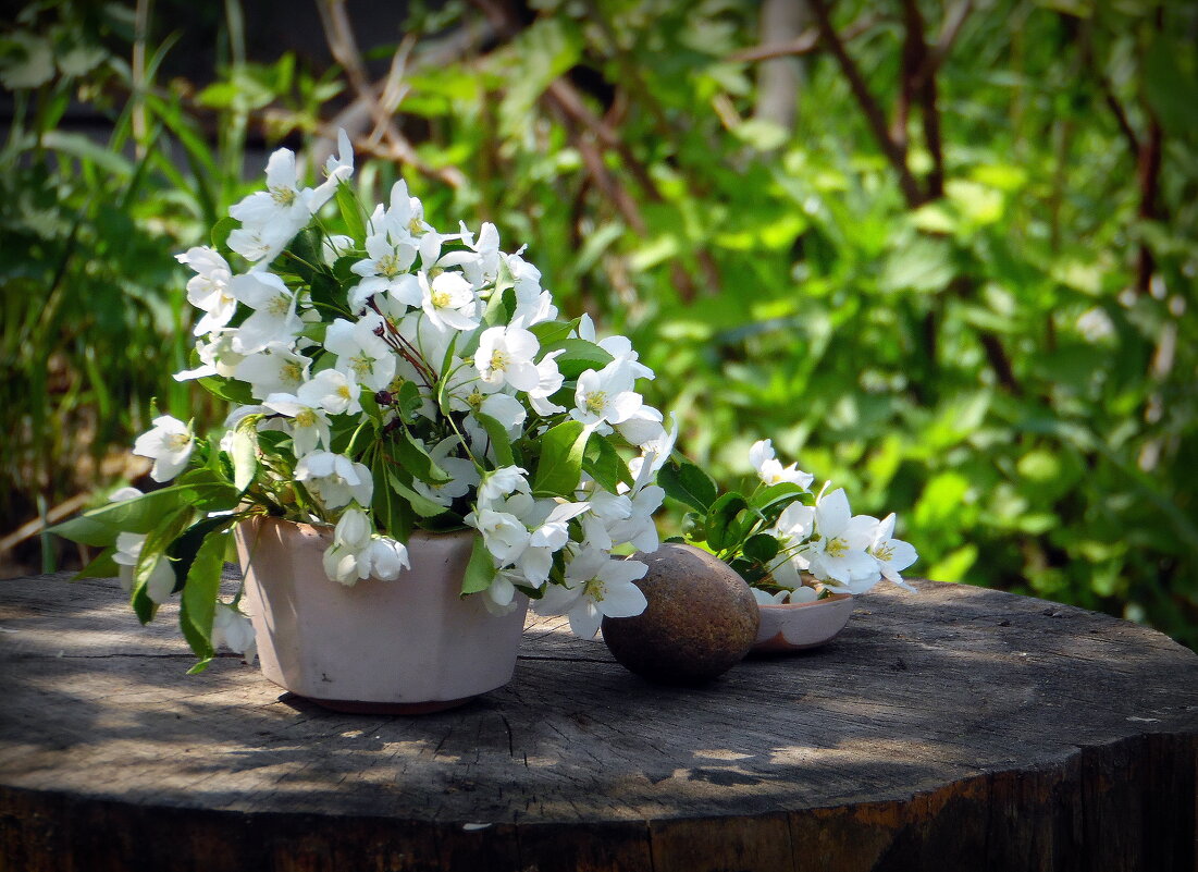 Когда яблони цвели. - nadyasilyuk Вознюк