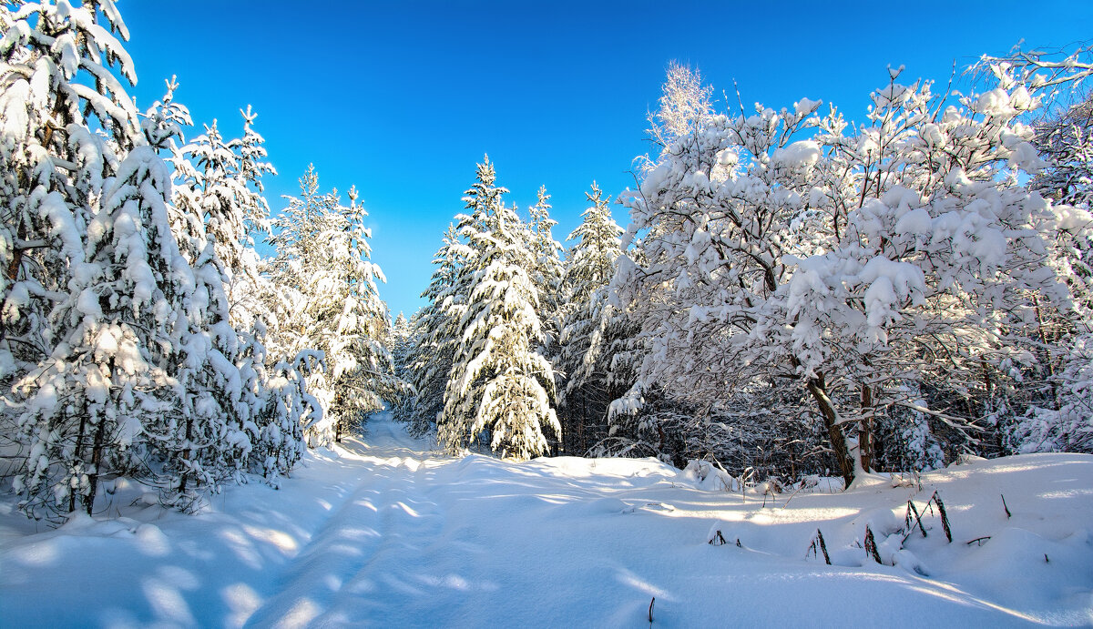 После снегопада - Vladimbormotov 