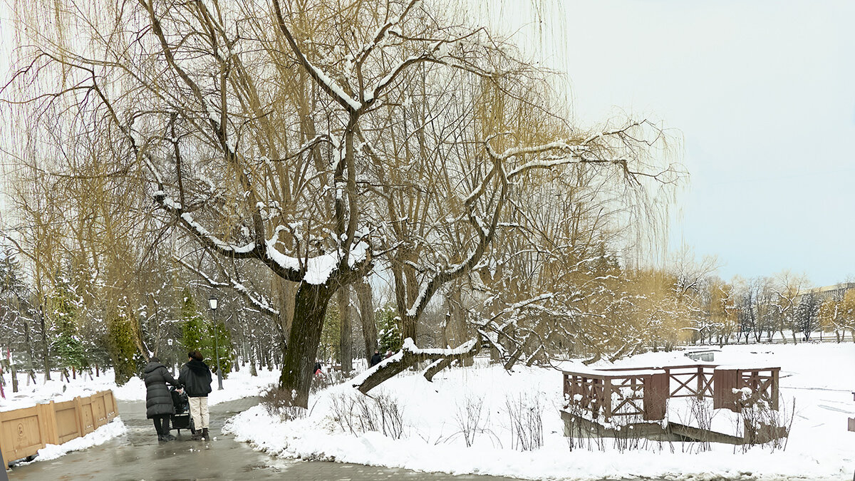 Пруд городского парка весной - Олег Стасенко