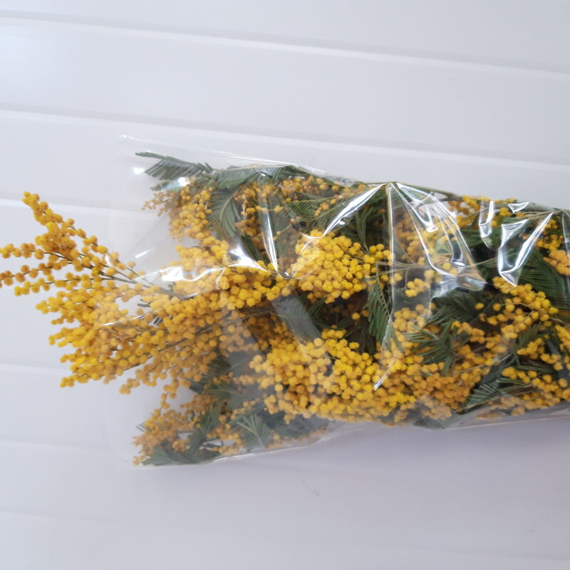 Март - Венера Чуйкова