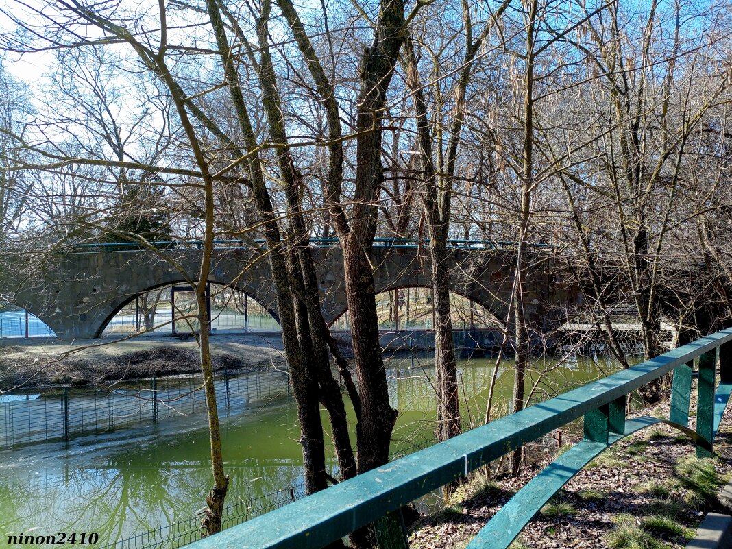 Март в ростовском зоопарке - Нина Бутко