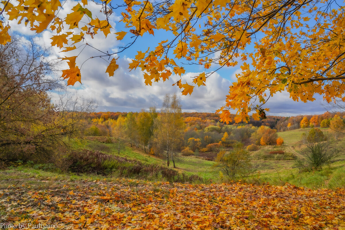 Октябрь в Царицыно... - Владимир Жданов