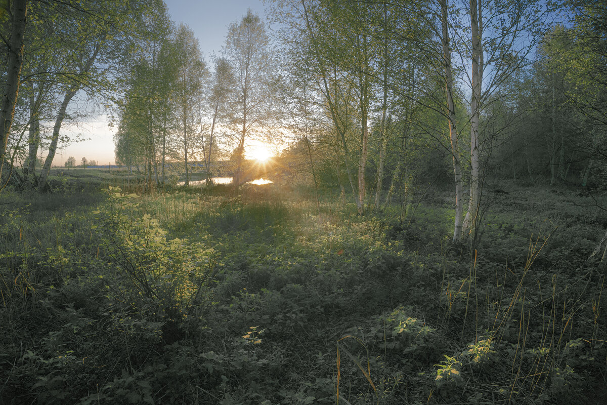 ... - Валерий 