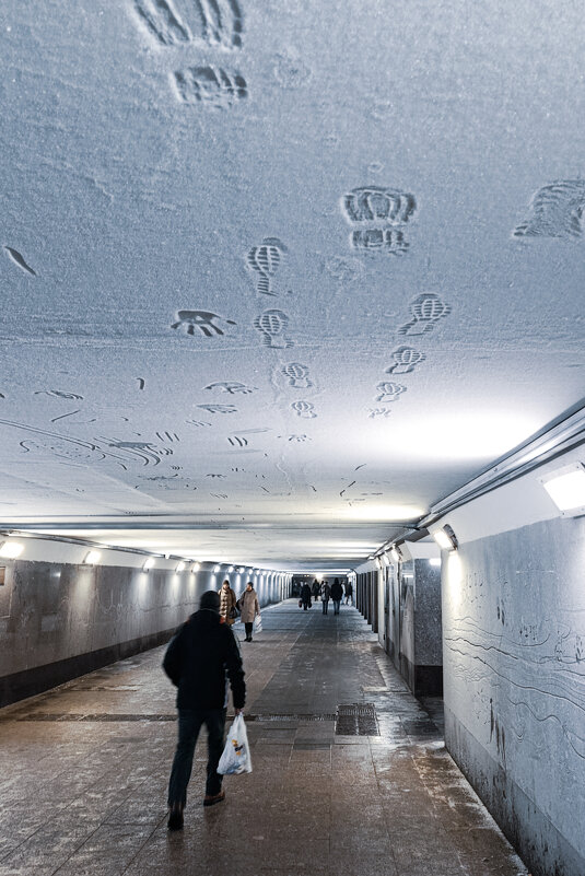 Ходить по потолку запрещено! Чай, не в лесу живёте! - Alexandr Gunin