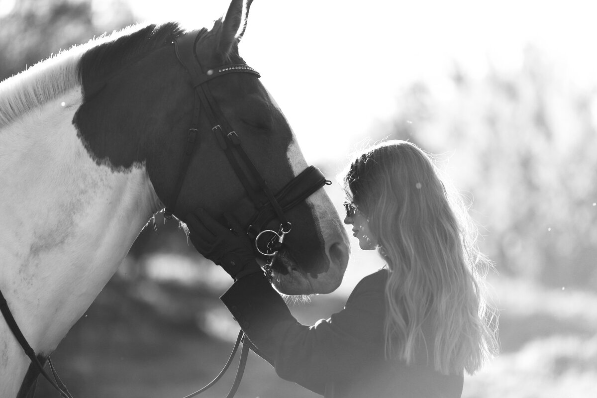 Девушка с лошадью - Александр Гапеев