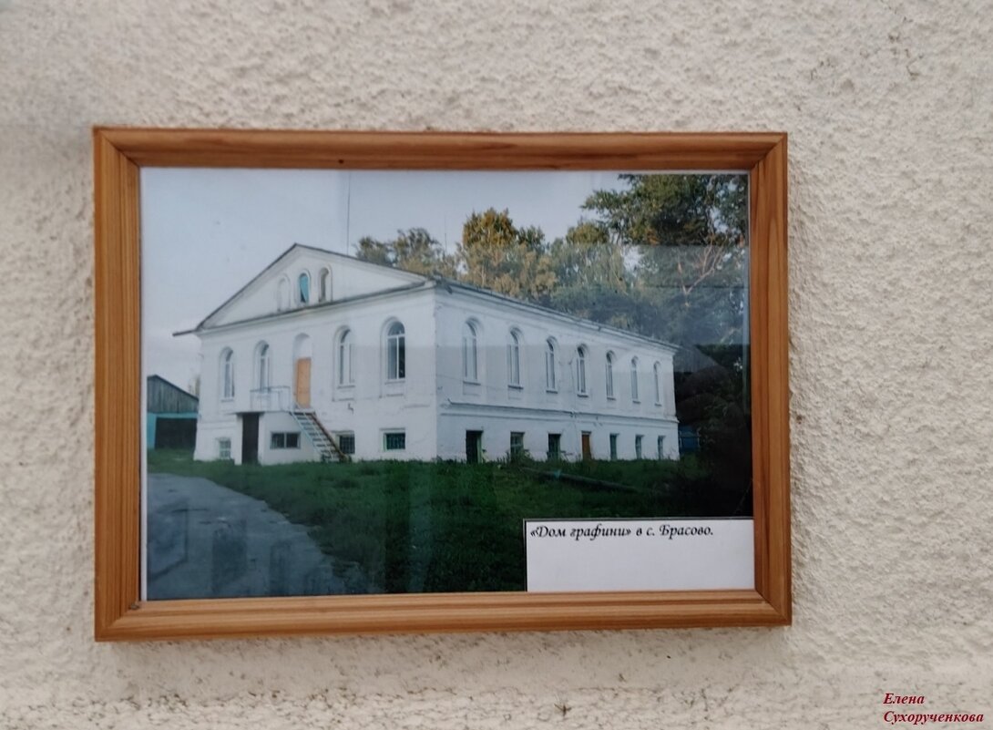 Дом графини - Елена Сухорученкова