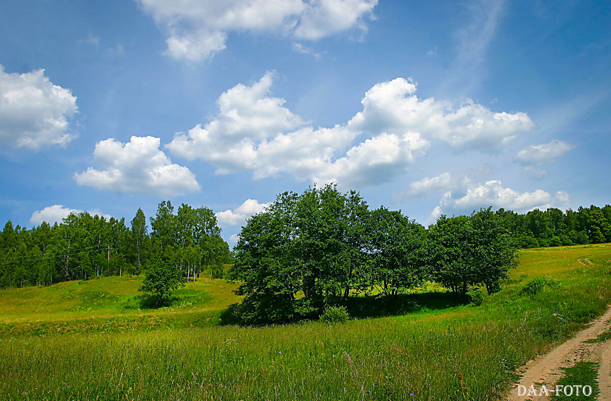 Тульское раздолье. - Александр Дмитриев