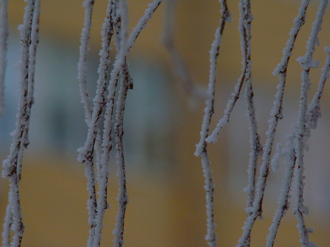 "Февраль... Достать чернил и плакать..." Б.Пастернак - Syntaxist (Светлана)