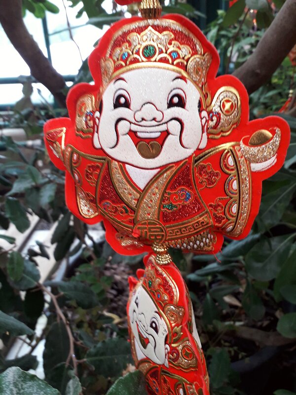 Китайский новый год в Аптекарском огороде - Лидия Бусурина