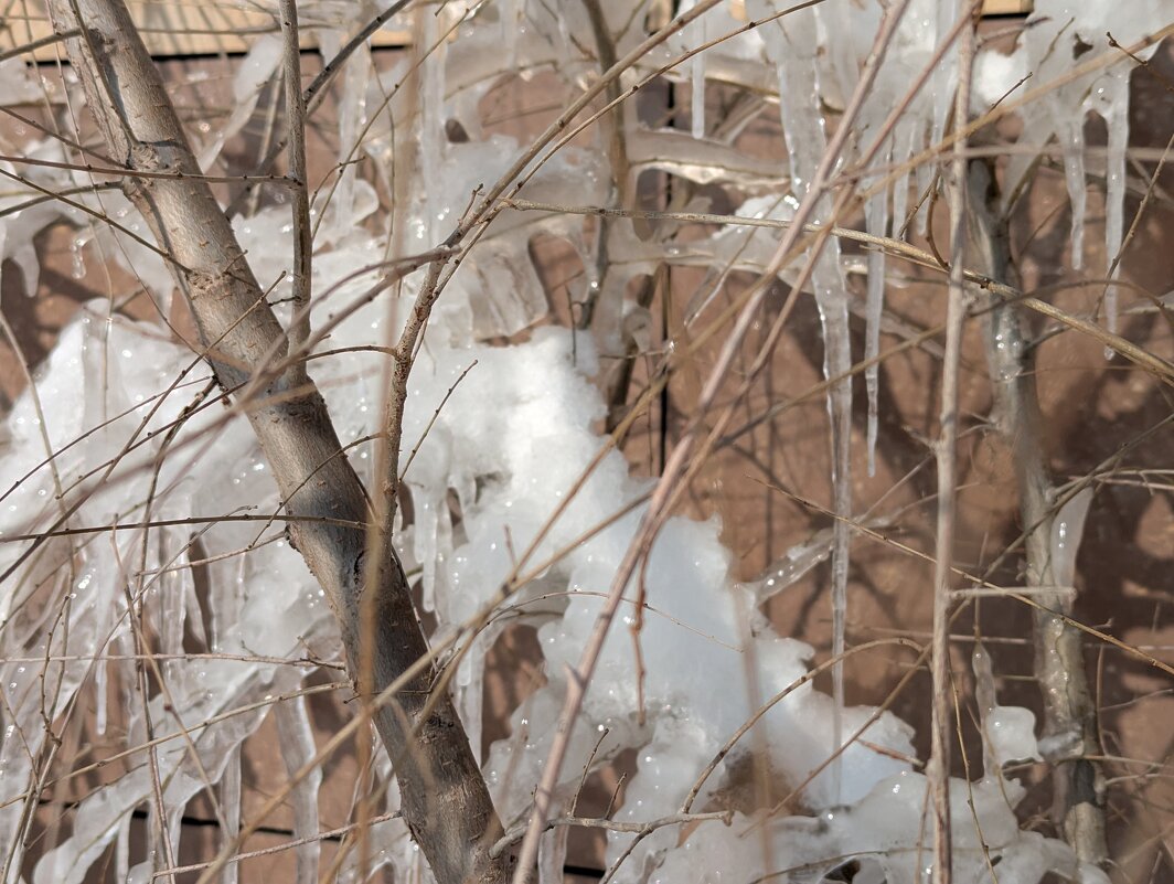 Ледяная картинка - Андрей Хлопонин