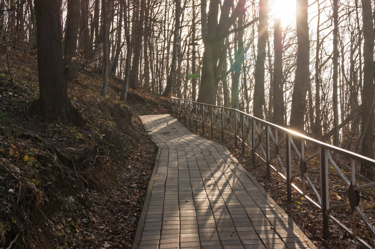 Обустроенная дорога к Святому источнику на гору Физиабго, 992 метра над уровнем моря - Игорь Сикорский