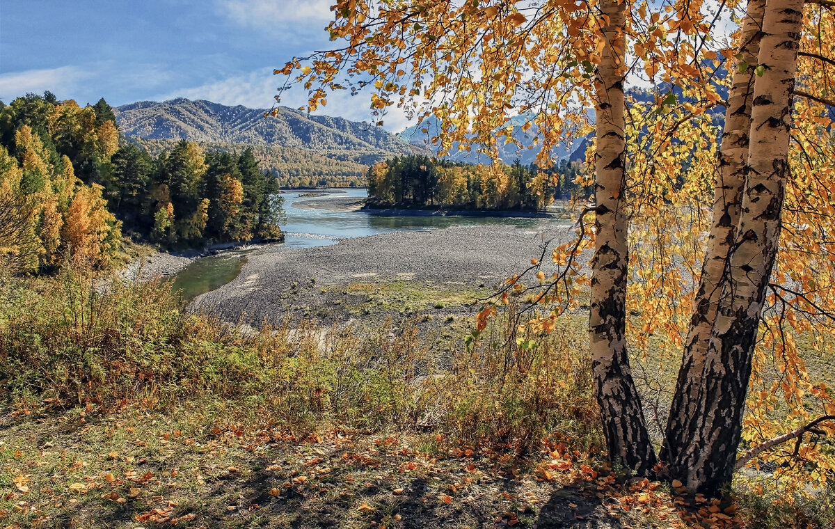 Осень на Чемале - елена беликова