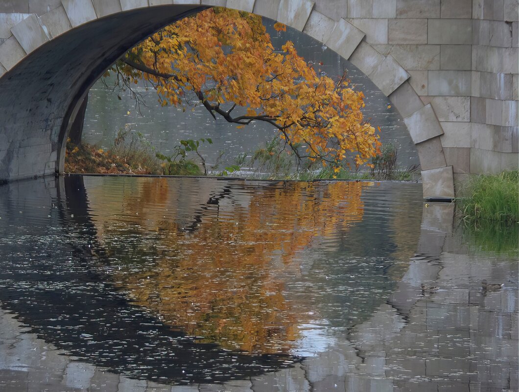 Карпин мост........ - Юрий Цыплятников